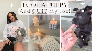 I got a puppy & QUIT my job! Weekly vlog 🌿