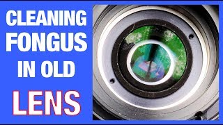 How to Remove Fungus from a Camera Lens (EASY)