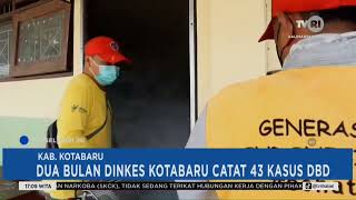 Dua Bulan Dinkes Kotabaru Catat 43 Kasus DBD