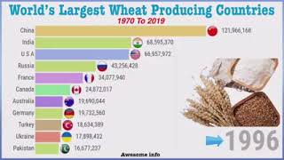 World’s Largest Wheat 🌾 Producing Countries   # Top Wheat