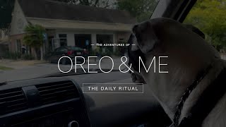 The Adventures of Oreo and Me -- The Daily Ritual