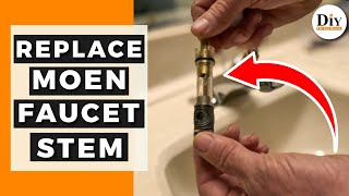 How to Replace the 1225 MOEN Faucet Cartridge | How to Fix a Leaky Moen Faucet