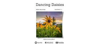 Dancing Daisies by Elizabeth Bonds