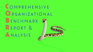 Comprehensive Organizational Benchmark and Analysis