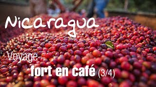 Voyage Nicaragua fort de café - Communauté El Chile [3/4]