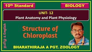 Structure of Chloroplast