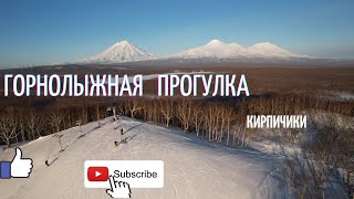 Кирпичики