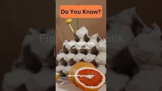 Do you Know?🤔...#facts #shorts #factshorts #trendingshorts #subscribe #fruit