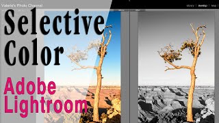 How to Create Selective Color in Lightroom