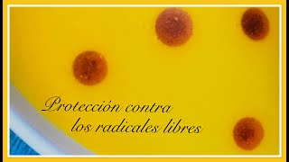 Protección contra los radicales libres Receta Crema de calabaza asada con pimentos y maca