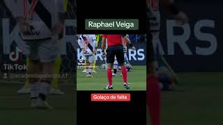 Golaço de falta do Raphael Veiga #palmeiras #palmeirascampeao #palmeiras_online #palmeirasedit