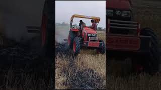 Kubota MU5502 Tractor Demo With cultivator कुबोटा 50 hp ट्रॅक्टर डेमो