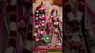 Radhe Braj Jan Man Sukhkari song राधे बृज जन मन सुखकारी# Devi Neha Saraswat Bhajan @SoulEntry1176