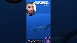 تخيل اى الكائن الغريب ده🔥🤯 #جني #جندى #اكسبلور #دويتو #duet #ضحك #greenscreen #حيوانات #قصص #funny