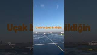 Uçak avazı çıkana kadar bağırdı