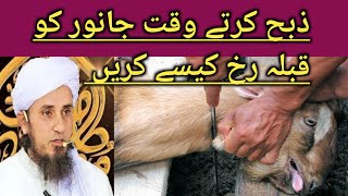 Qurbani Karte Waqt Janwar Ko Qibla Rukh Karne Ka Sahih Tariqa