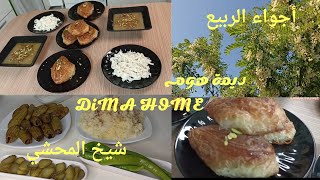 عملت شيخ المحشي/ روتين يوم العطلة/ واحلى أجواء الربيع اخدتكن معي عالحديقة 🌺🌺🌺