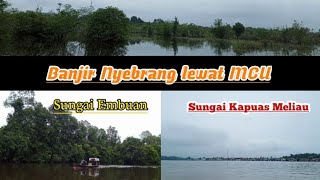 Banjir di MCU melewati Sungai Embuan ( Sungai Kapuas Meliau )