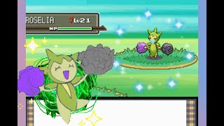 Live Shiny Roselia after 4,183 Random Encounters in Platinum!