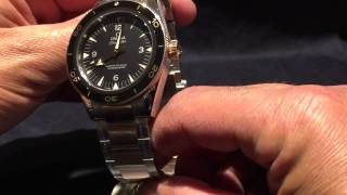 OMEGA SEAMASTER  300 SEDNA GOLD ON STEEL