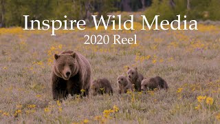 Grizzlies, 399 + 4 cubs, Wolves, Owls and more | 2020 Reel | Inspire Wild Media