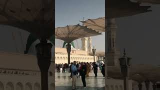 masjid al nabawi #youtubeshorts #shorts #short #viral