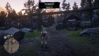 Red Dead Online - Bad Framerate