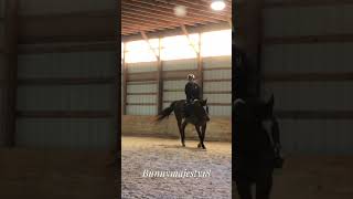 Horse back riding