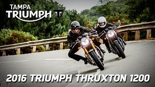 2016 Triumph THRUXTON 1200 at Tampa Triumph