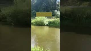 Most peaceful place #germany #howtoviralshortvideo #nature #greennature #howtoviralfirstvlogs #viral