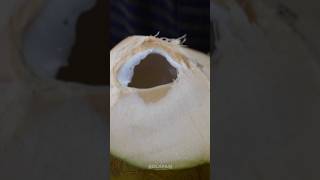 India's Most Hygienic Cold Coconut Water | Summer Coolers | Drink | Food wackadoos #shorts #ytshort