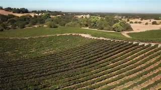 A Taste of Tuscany...Right in Your Backyard | Wise Villa Winery, Lincoln CA