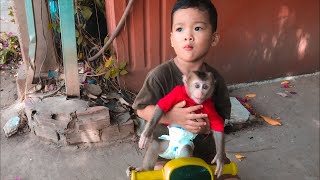 Daily Life Baby Monkey Ella In The House