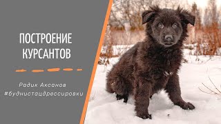 Построение | #буднистацдрессировки | Радик Аксанов