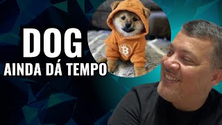 DOG GO TO THE MOON -  QUANTOS TOKENS CONSIGO COMPRAR COM R$500,00 - CRIPTOMOEDA DOG PODE FAZER 40 X