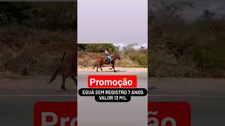 Promoção #viral#agro