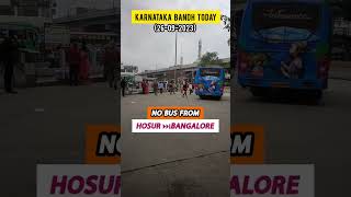 Karnataka Bandh Today (26/09) | No Bus From Hosur to Bangalore | TN 24 #tn24 #shorts