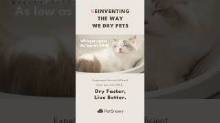 PetSnowy SMILE Pet Dryer Box #petsnowy #foryou #catlover #petsupplies #dryers #doglife