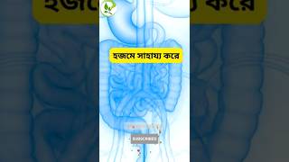 আমলকির উপকারিতা সম্পর্কে স্বাস্থ্য টিপস | Health Tips to Benefits of Amlaki