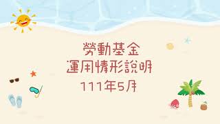 1110701_111年5月份運用情形說明