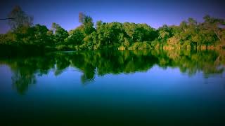 Morrison Pond, 7/1/22