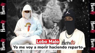 Entrevista Histórica a @lobomalo , Cuenta todo desde el Inicio Detalladamente ( Harvyn TV)