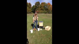 Feeding Bees with Feeder Pail