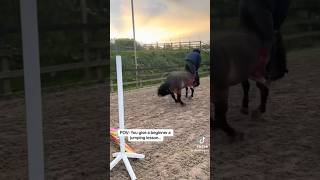 pov: your pony is out of control !! #edit #youtube #viral #equestrian #horse