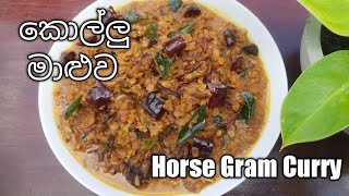 ශක්තිය වඩන කොල්ලු මාලුවක් හදමු / Kollu Maaluwa / Horse Gram Curry