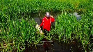 REZEKI ANGKAT BUBU AWAL TAHUN 2021!! SEMANGAT PAK YE CARI IKAN KARENA KALIAN SEMUANYA ❤