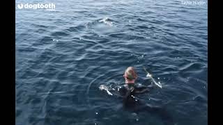 Diver Hugs Great White Shark || Dogtooth Media