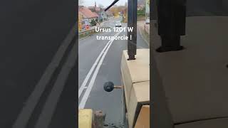 Ursus 1201 W transporcie ! Stromy zjazd z ładunkiem ziemniaków z Ujskiej góry !