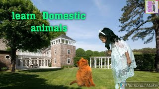 Learn domestic animals for kids