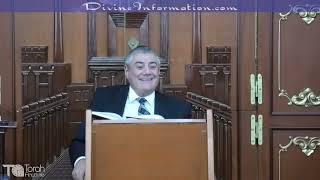 The Holy Robin Hood - Rabbi Yosef Mizrachi.